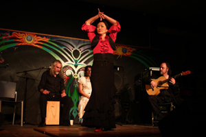 Flamenco dancers perform at Pacific