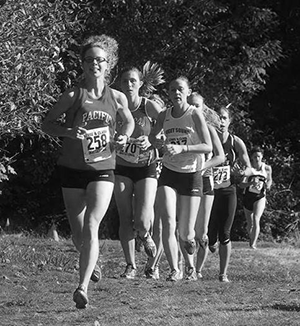 Cross country shapes up for postseason