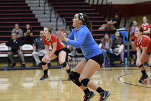 Volleyball ready for conference play