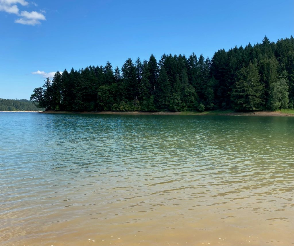 Hagg Lake is a summer staple in Forest Grove.