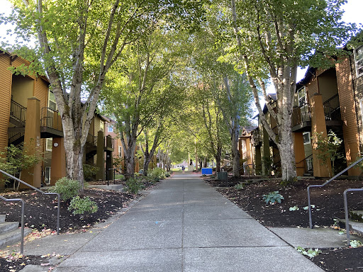 From Zoom University, Back To&nbsp;Normality