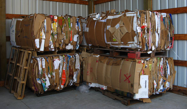 Center pushes for green&nbsp;living