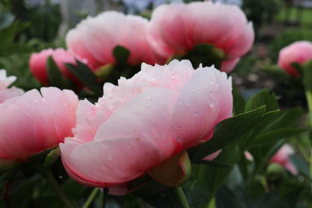 A Year in Review: Learning to Cope and Grow with Constant Uphill&nbsp;Battles