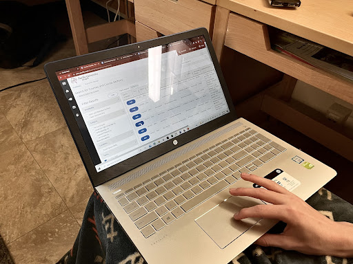 The New and Improved&nbsp;BoxerOnline