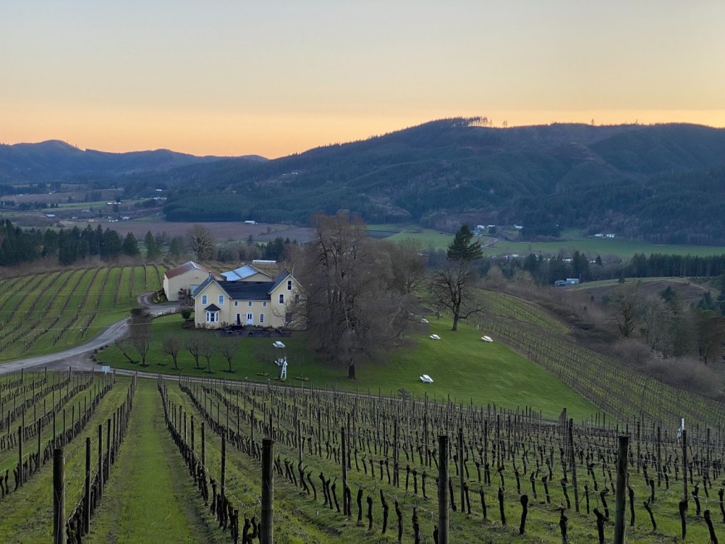 Local Wineries See Influx In Online Sales&nbsp;Post-Pandemic