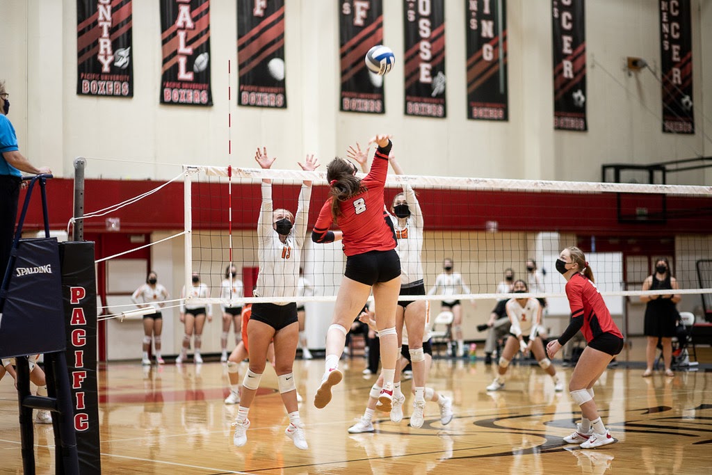 Senior Jordan Zweifel rising for a spike against Lewis & Clark (Julien Dagan)