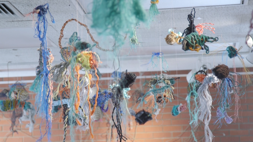 A collection of fish hang above the exhibit