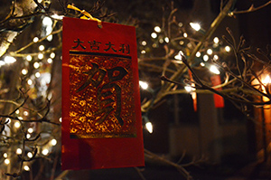 Lunar New Year brings great&nbsp;success