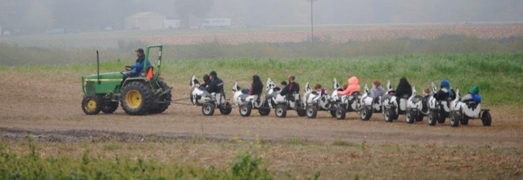 Over, Under 21: Apple cider at The Pumpkin Patch, Tap&nbsp;Room