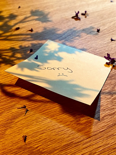 Apology Languages: The Guide to Getting Through&nbsp;It