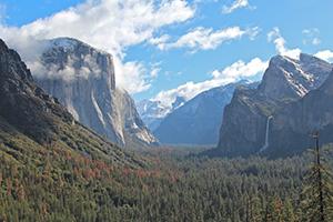 IMG_9309 WEB
