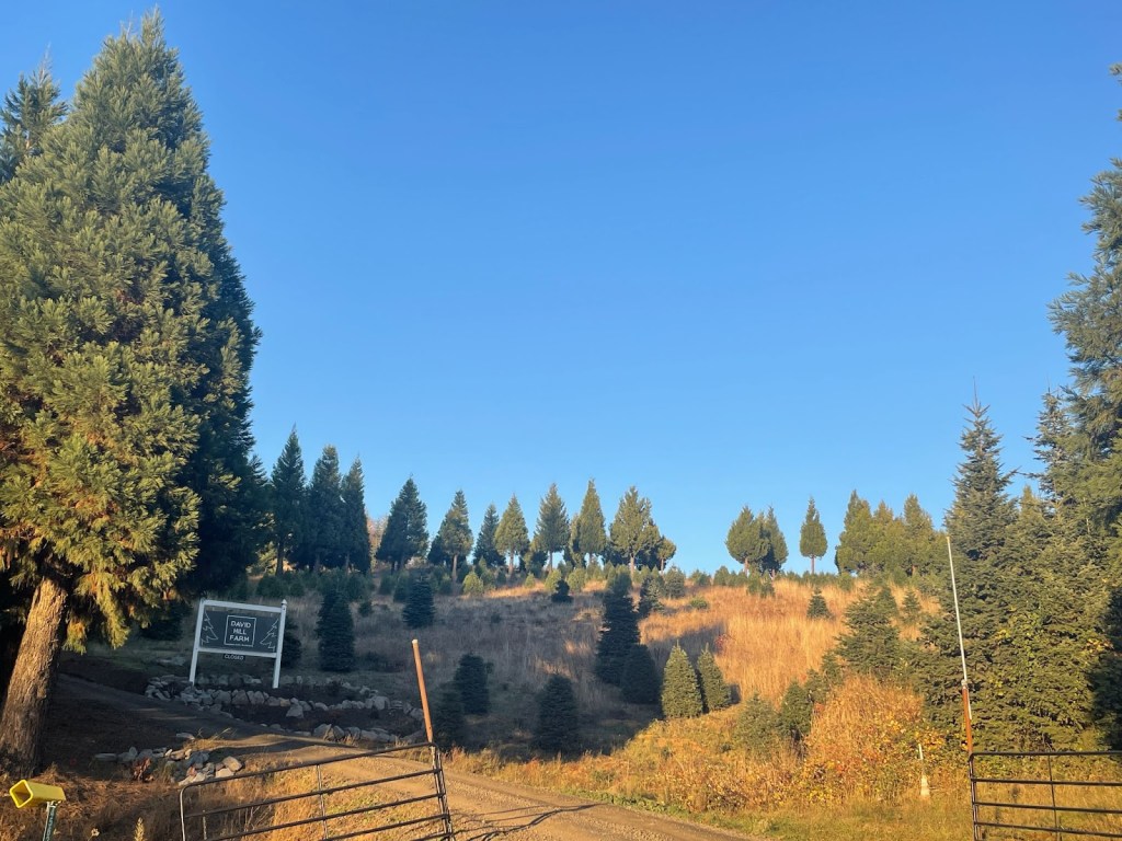 O’Christmas Tree O’Christmas Tree