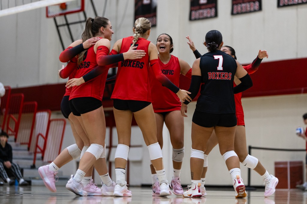 Don’t Underestimate Boxer&nbsp;Volleyball